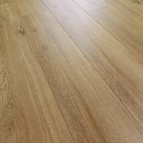 Lucerne Oak