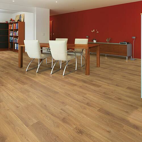 Lucerne Oak - Figura 2
