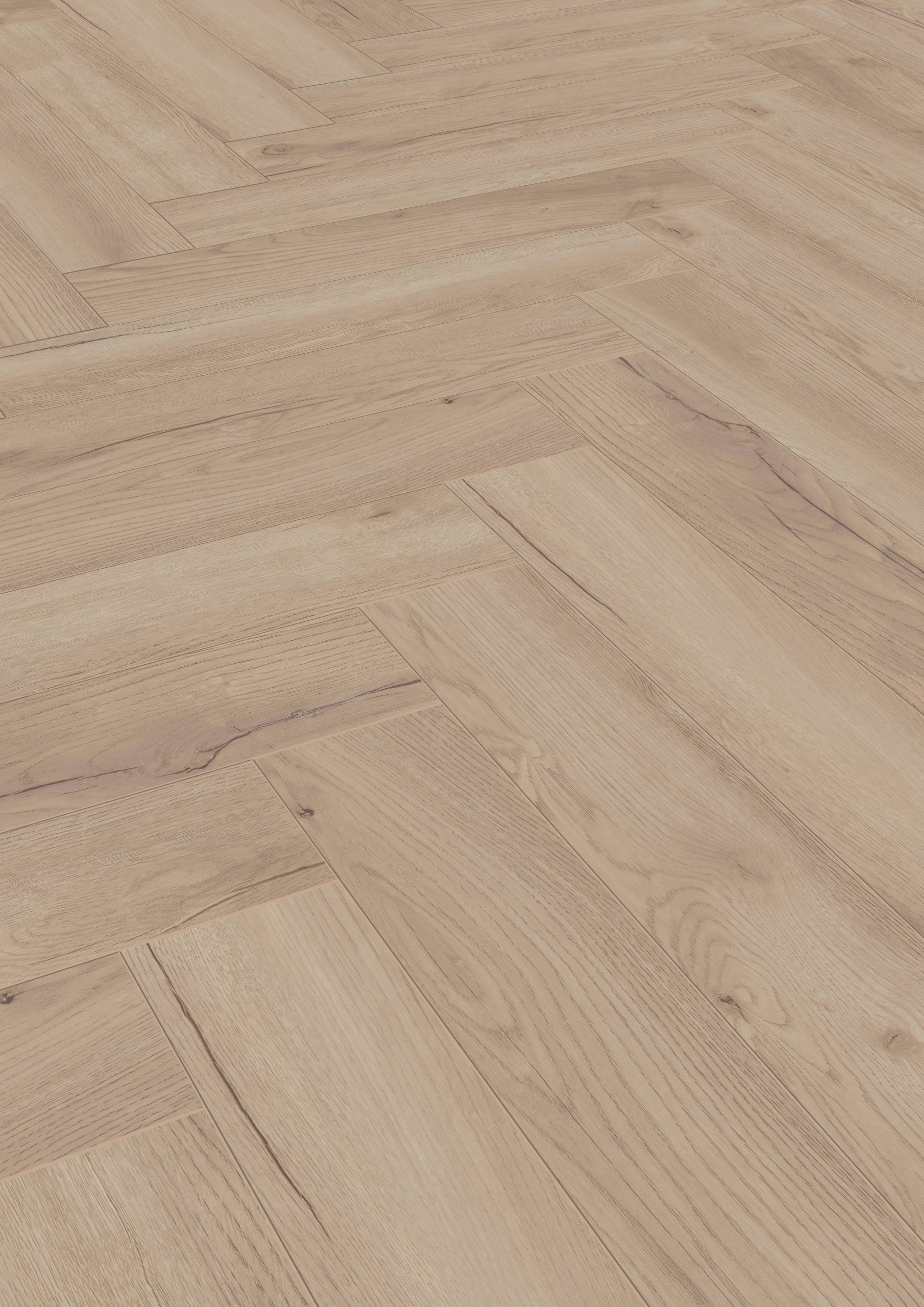 Toulouse Oak