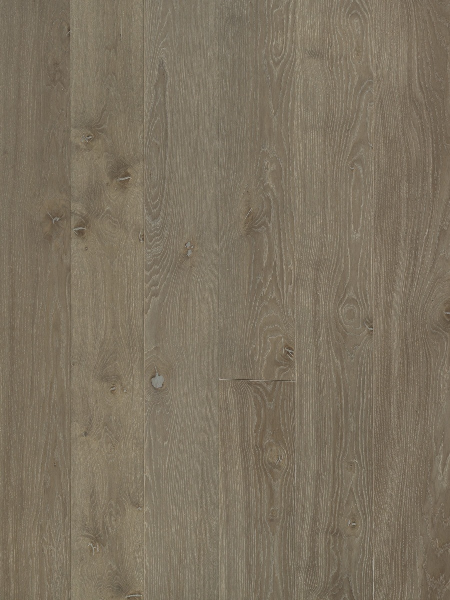 Parket Druri, Black Tea
